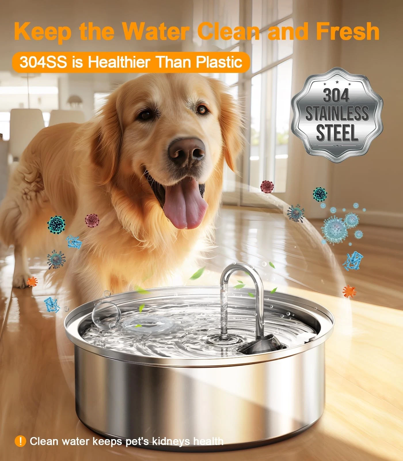 Keep the Water Clean and Fresh - 304SS is Healthier Than Plastic - Golden Retriever with Stainless Steel Water Fountain